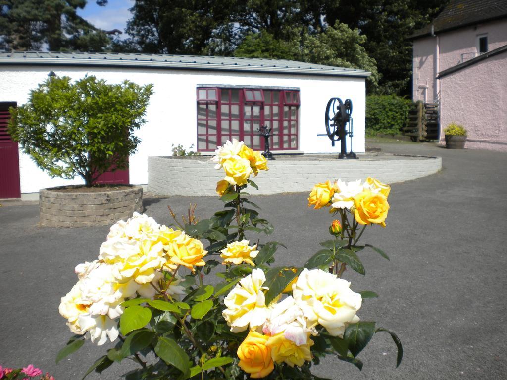 Riversdale Farm B&B Ballinamore Exterior photo